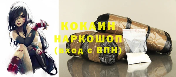 дурь Няндома