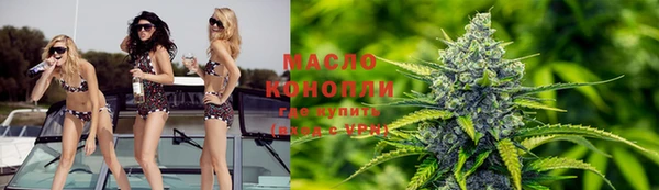 дурь Няндома