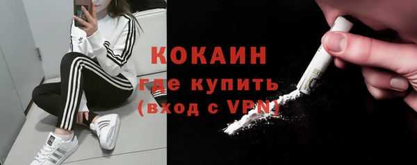 дурь Няндома