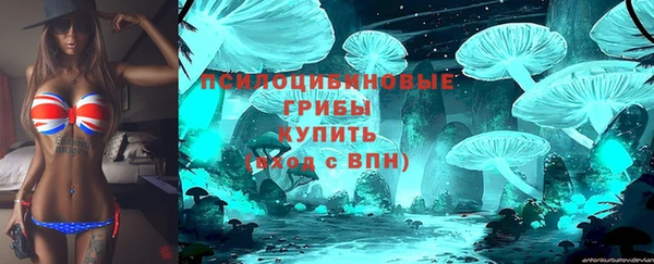 дурь Няндома