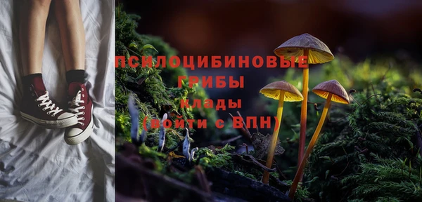соль курить ск Нязепетровск