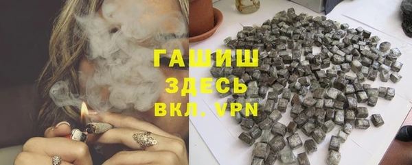 дурь Няндома