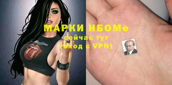 дурь Няндома