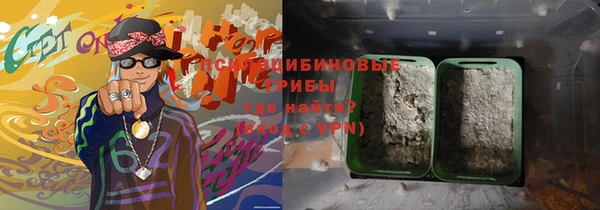 дурь Няндома