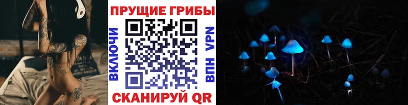 Псилоцибиновые грибы Psilocybine cubensis  Купить где  Сосновоборск 