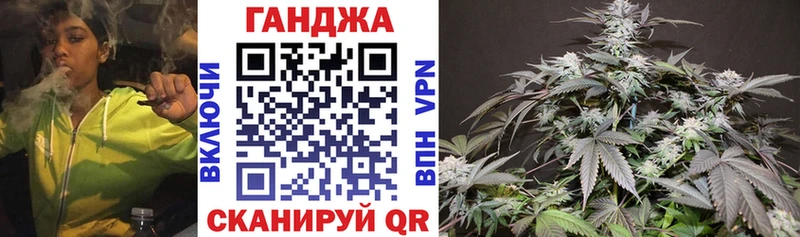 Каннабис сатива  Купить закладки  Сосновоборск 